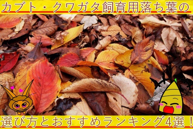 Thumbnail of post image 010